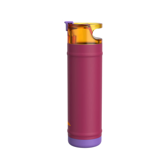 bubba 24 oz DualSip Insulated Stainless Steel Water Bottle - Locker Love - US 6614